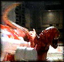 chest burster running from dining 
room